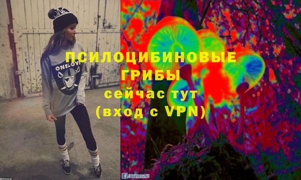 не бодяженный Богородск