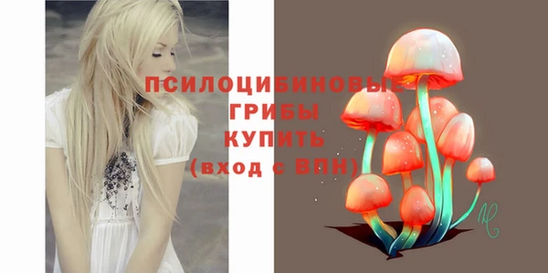 а пвп мука Богородицк