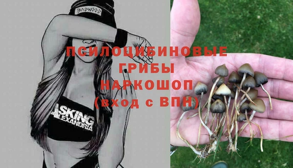 не бодяженный Богородск