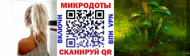 Купить  Ржев  Галлюциногенные грибы Psilocybine cubensis 